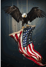 SF1395-Eagle Flag  40x60