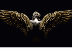 SF1407-Spread Wings   40x60